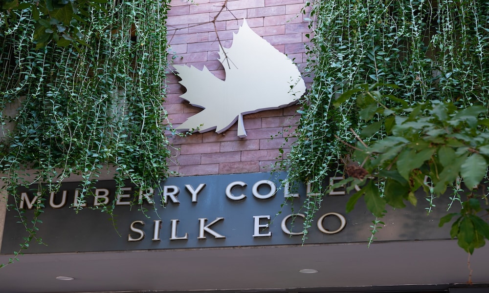 mulberry collection silk eco