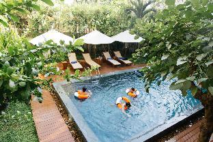 mulberry collection silk eco