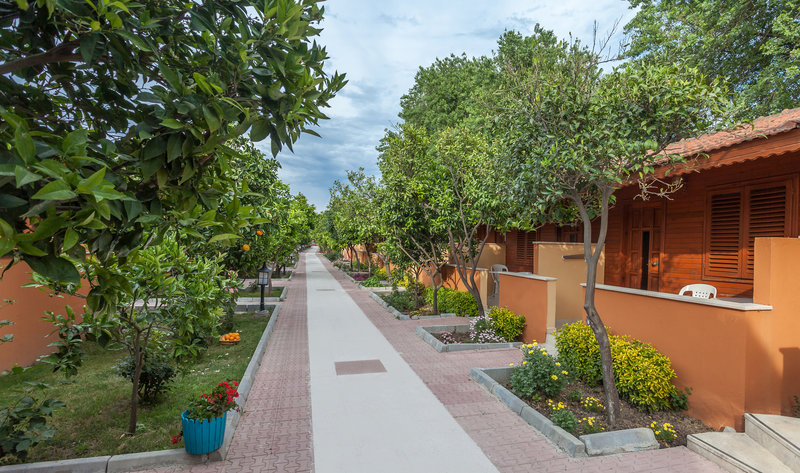 hotel ozlem garden all inclusive