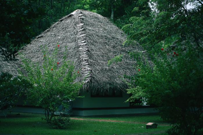 marari beach cgh earth