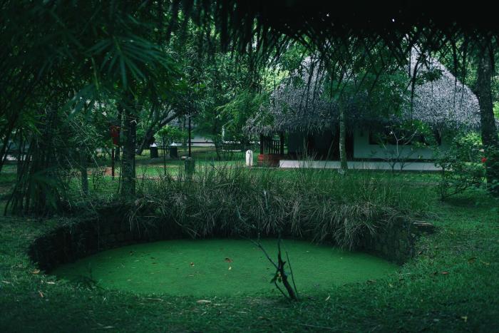 marari beach cgh earth