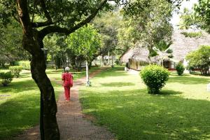 marari beach cgh earth