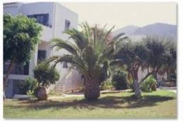 palatia village