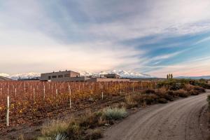 auberge du vin a tribute portfolio hotel tupungato