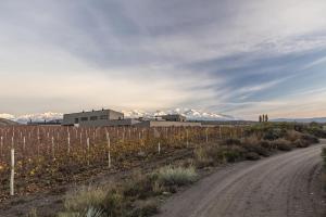 auberge du vin a tribute portfolio hotel tupungato