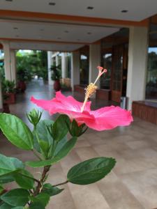 hotel carmen