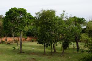 puerto iguazu