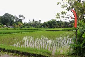 saren indah hotel