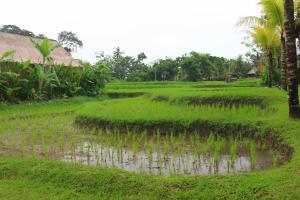 saren indah hotel