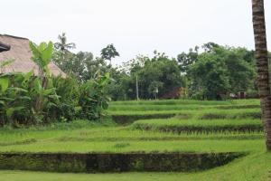 saren indah hotel