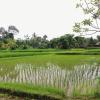 saren indah hotel