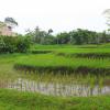 saren indah hotel
