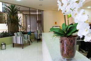 harbor self buriti suites hotel