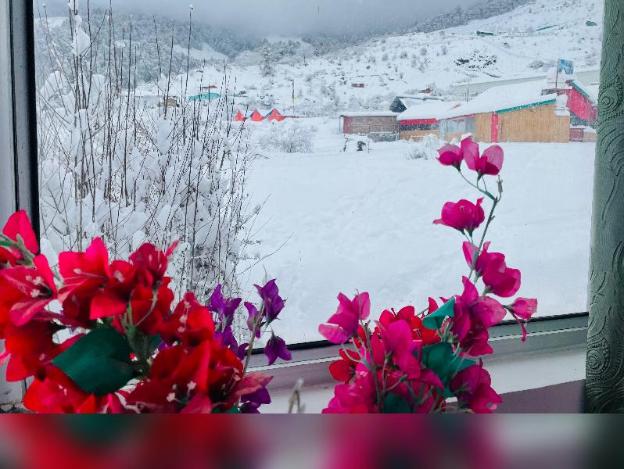 snow mount hotel auli