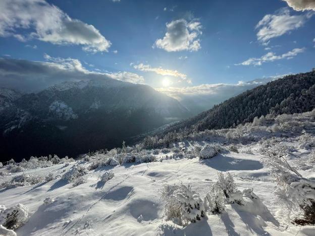 snow mount hotel auli