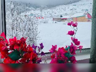 snow mount hotel auli