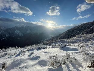 snow mount hotel auli