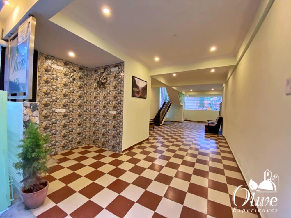 olive serviced apartments and catering