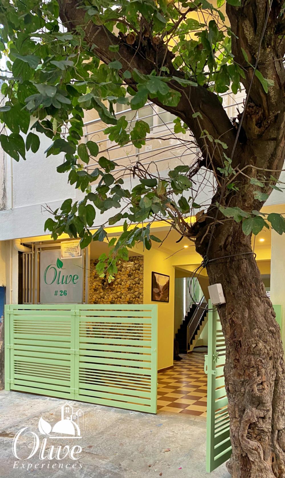 olive serviced apartments and catering