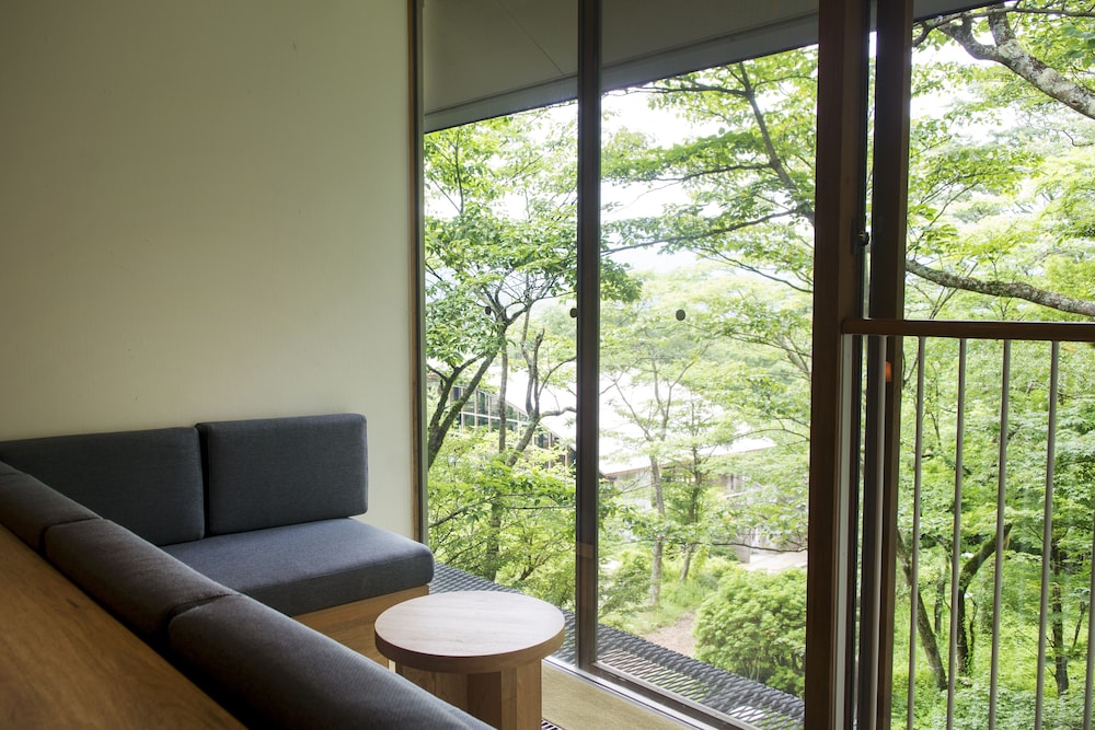 hakone retreat fore adults only