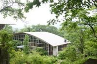 hakone retreat fore adults only
