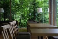 hakone retreat fore adults only