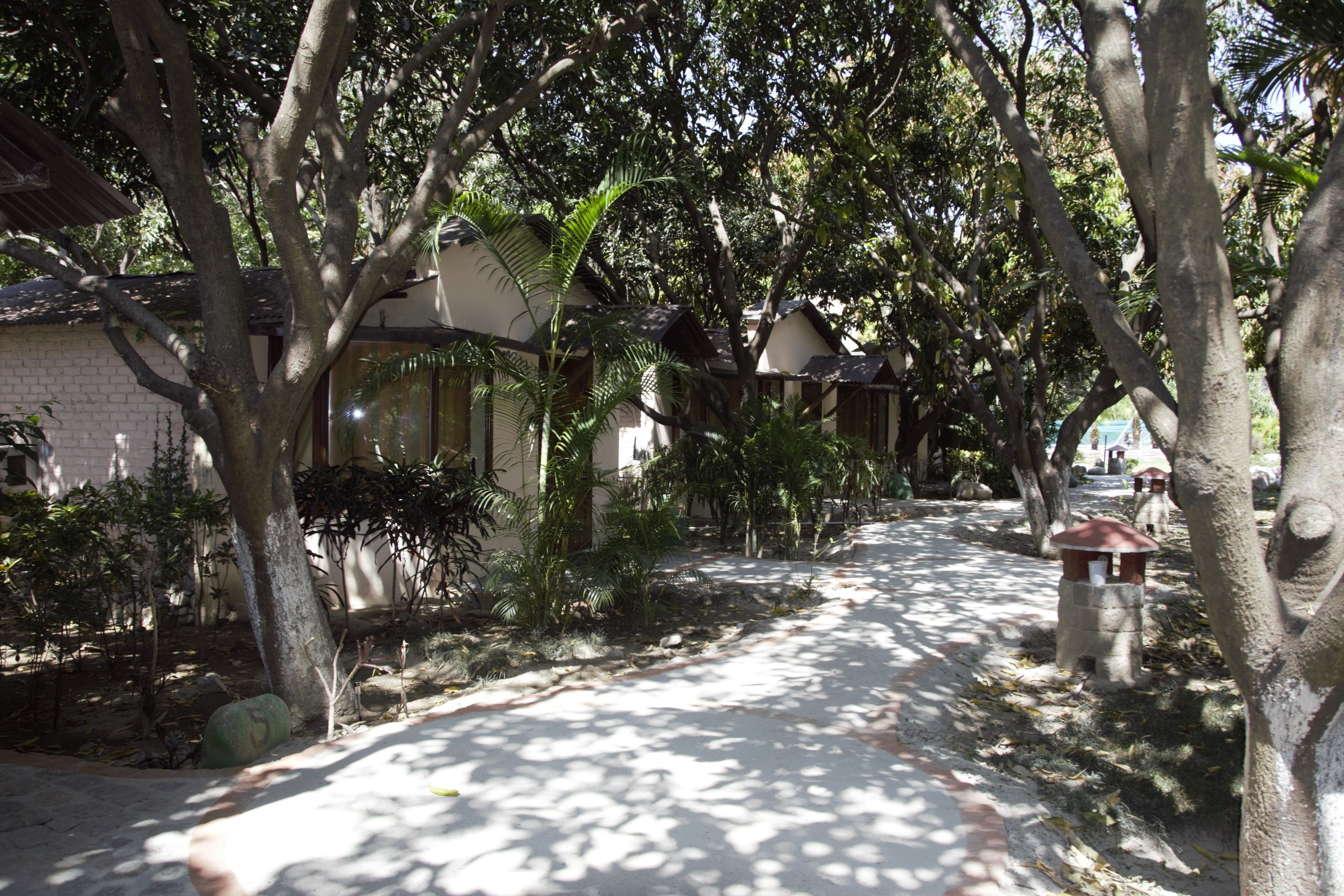 Corbett Wild Resort - A River Access Property,Dhikuli,3 star