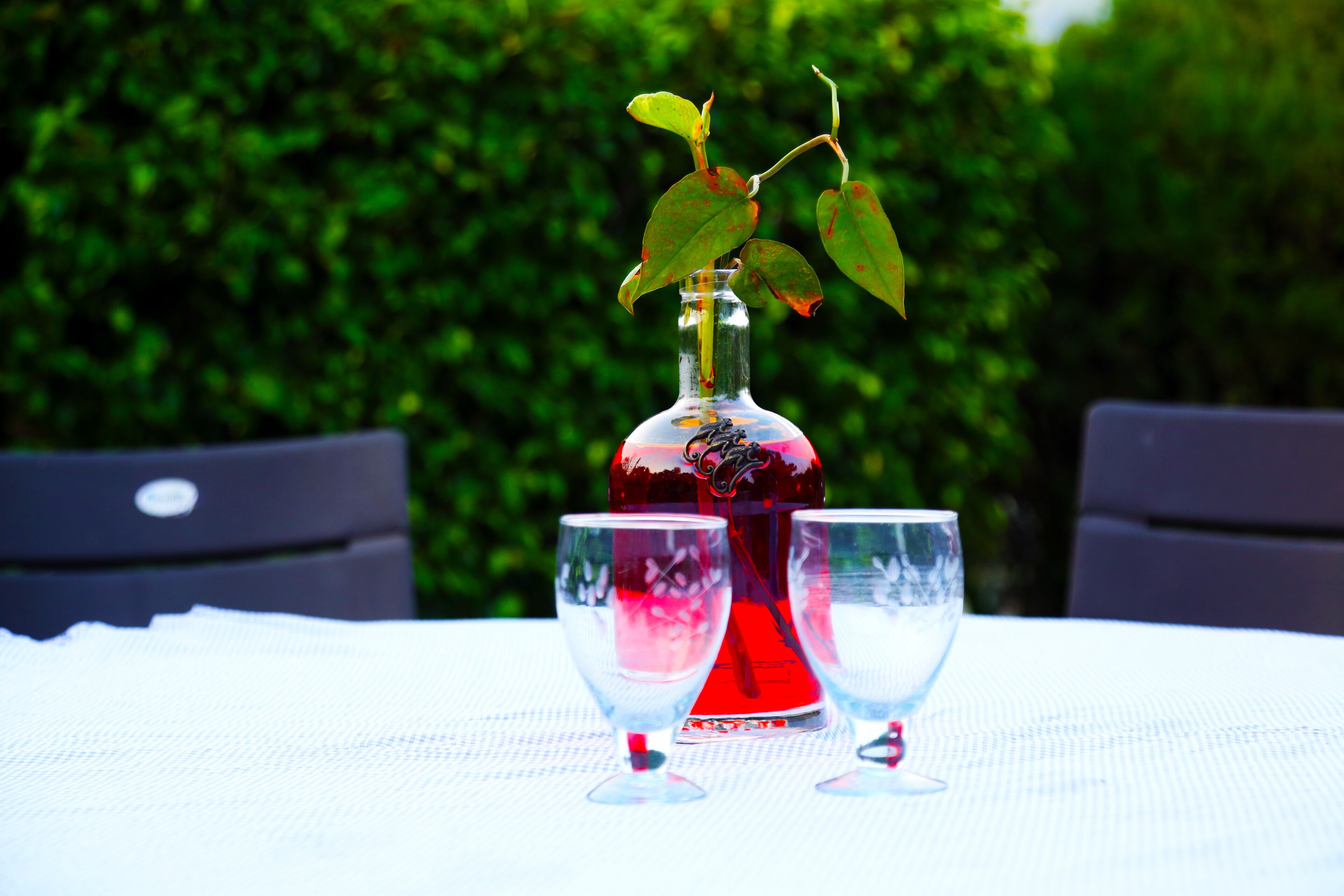 corbett wild resort a river access property