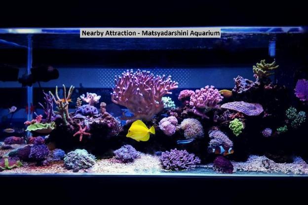 silverkey executive stays 76581 hotel stay inn maharani peta