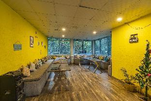 zostel rishikesh tapovan