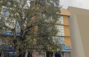 oyo flagship 76333 shannu residency