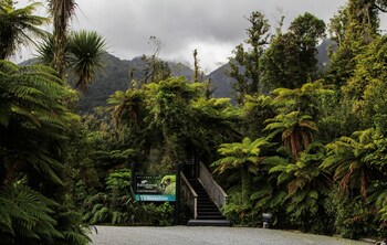 franz josef glacier