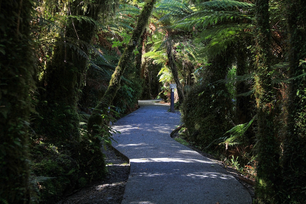 franz josef glacier