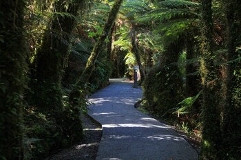 franz josef glacier