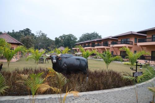 pench national park