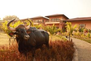 pench national park