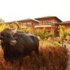 pench national park