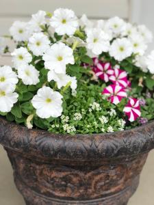 country view motor inn