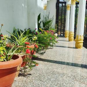 royal heritage haveli