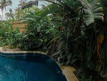 the watergarden