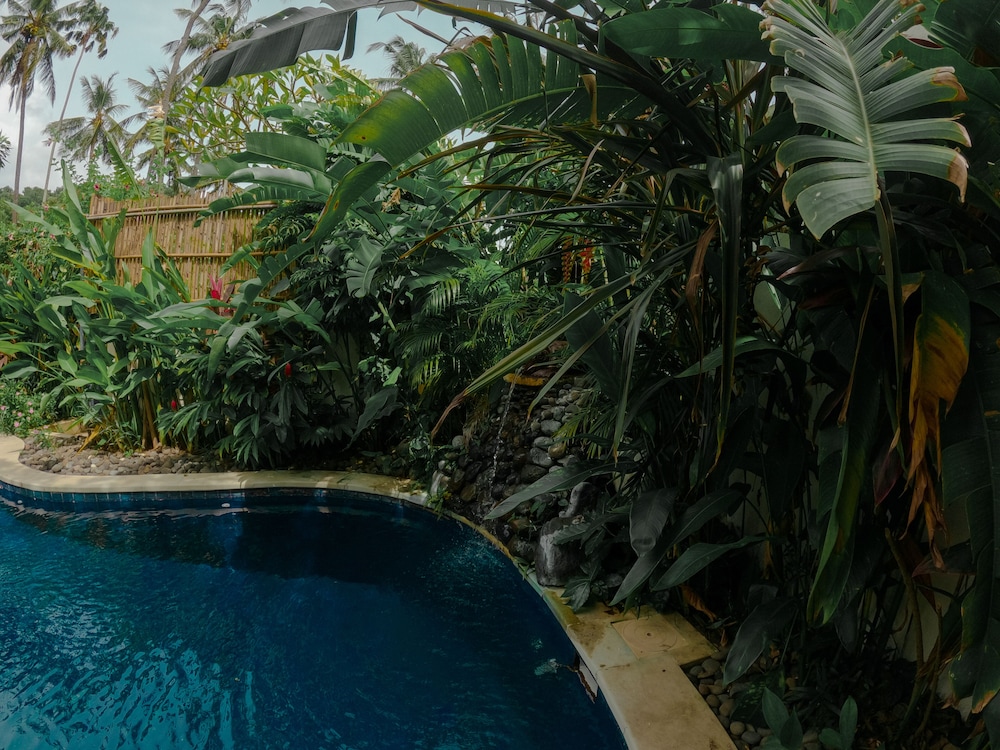 the watergarden