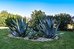 ecoresort zefyros