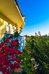 ecoresort zefyros