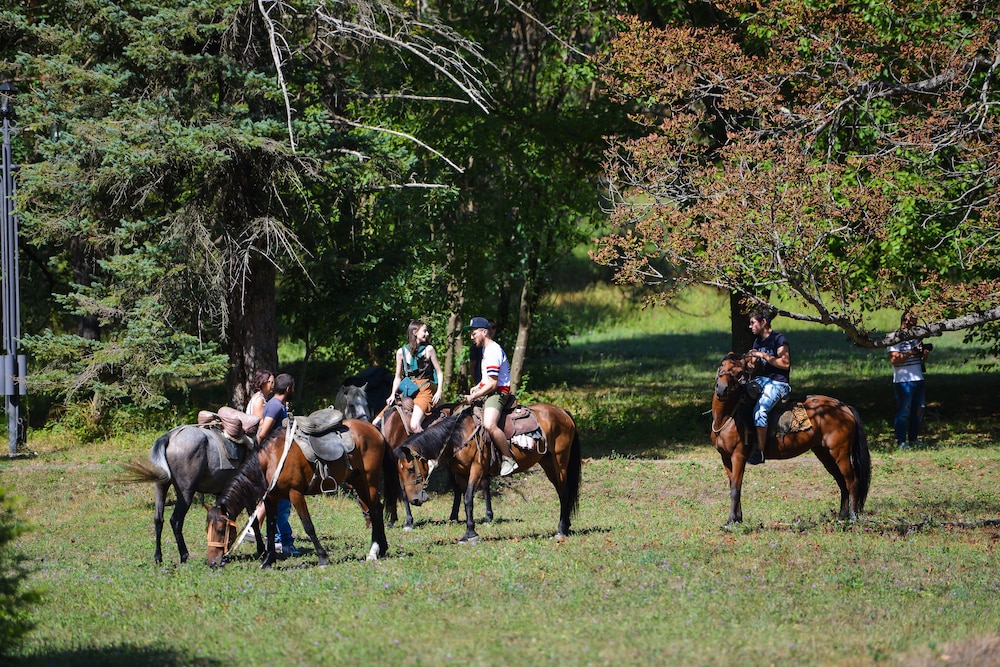 borjomi likani to borjomi likani health and spa centre