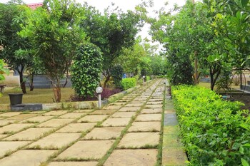 wild wadi cottages resort