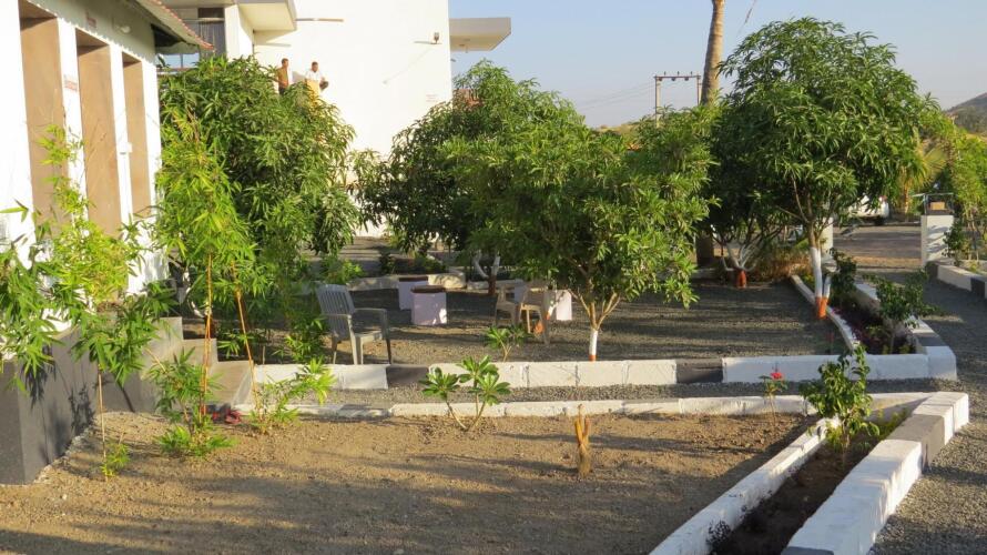 wild wadi cottages resort