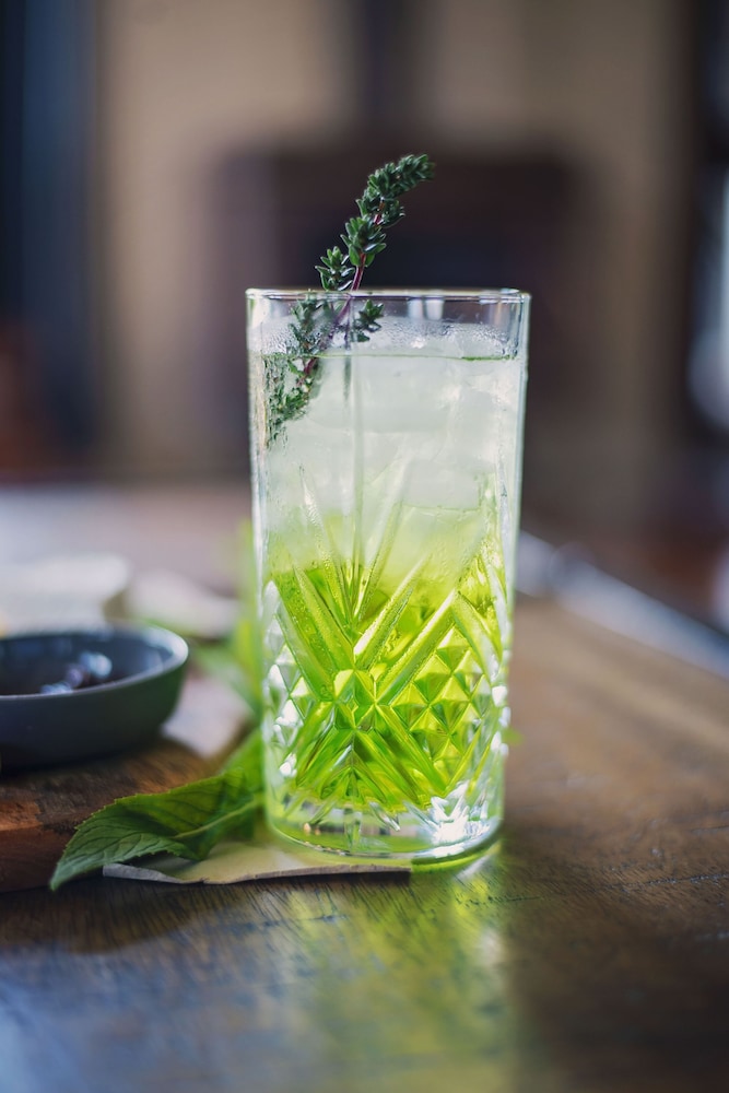 ace accommodation albany