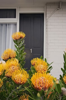 ace accommodation albany