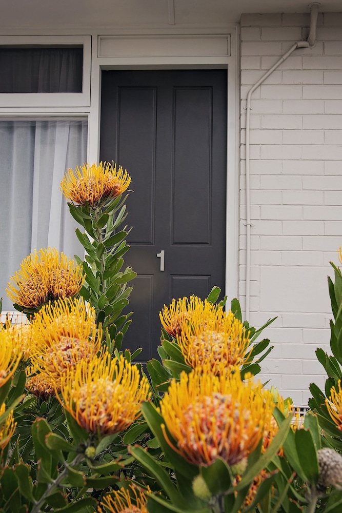 ace accommodation albany