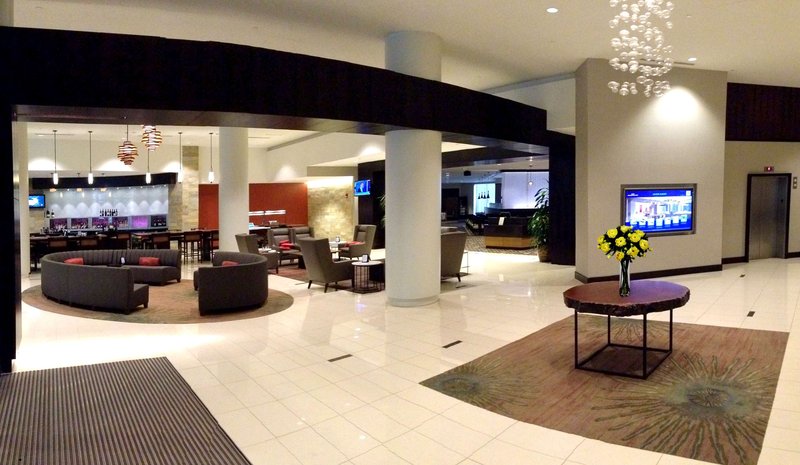 hilton albany